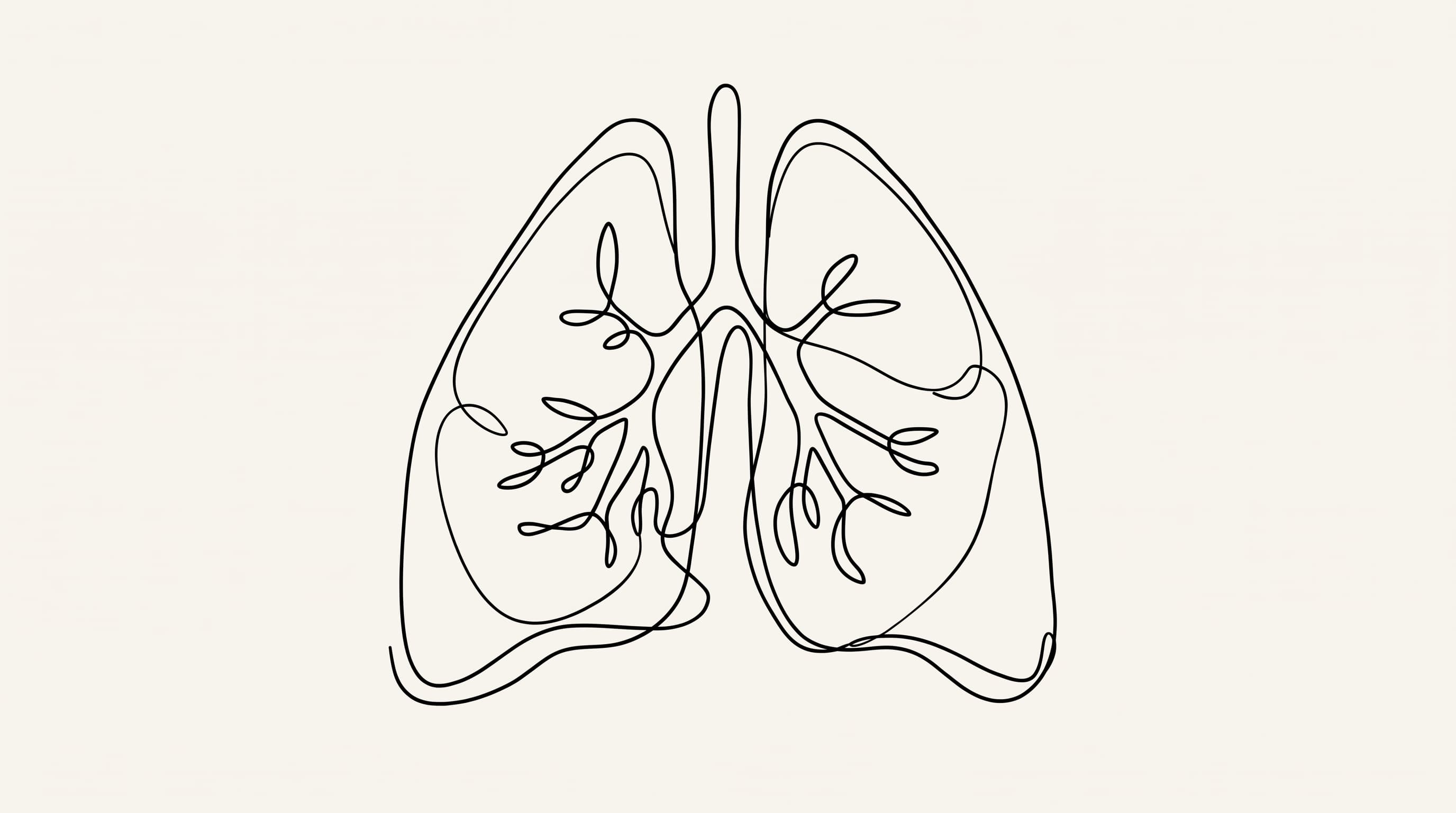 Single-line drawing of the lungs
